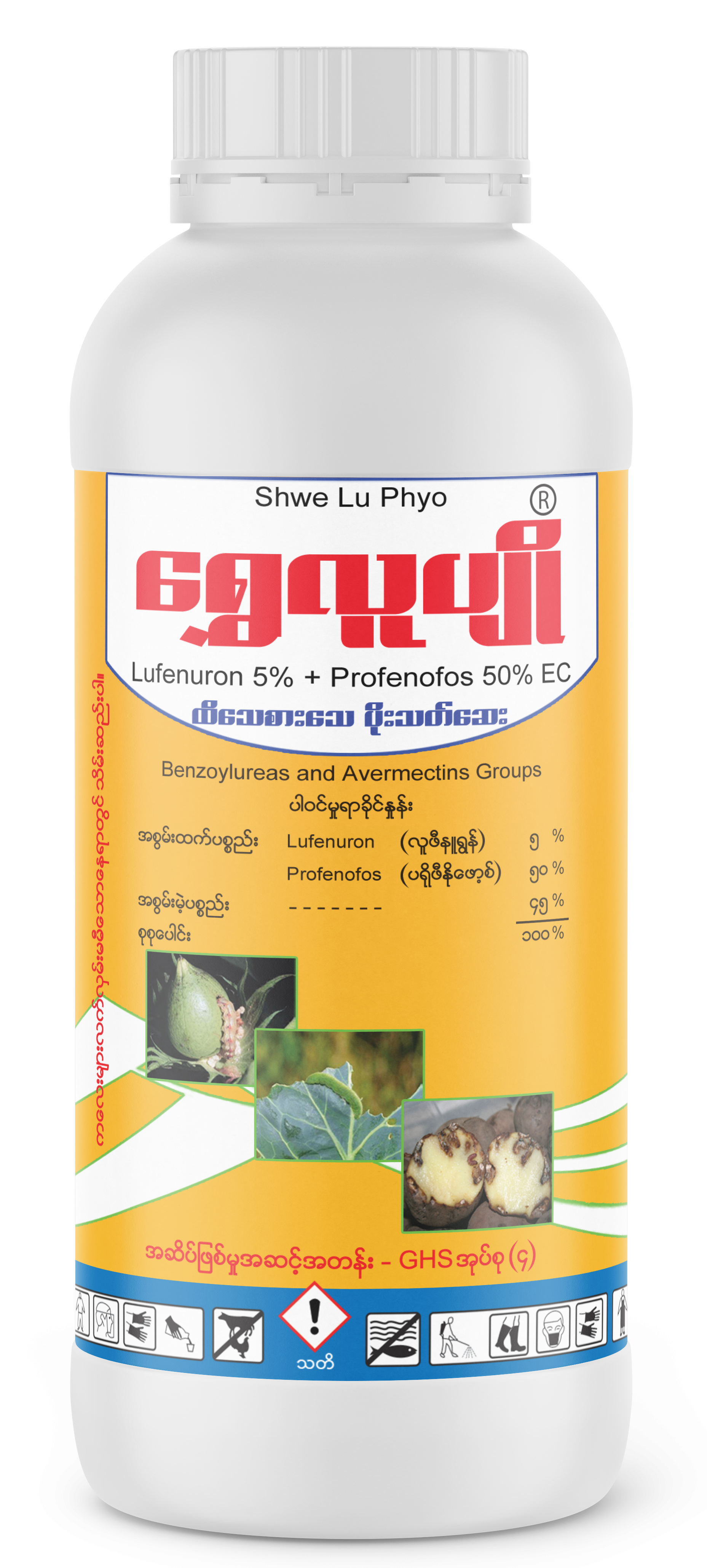 Shwe Lu Phyo