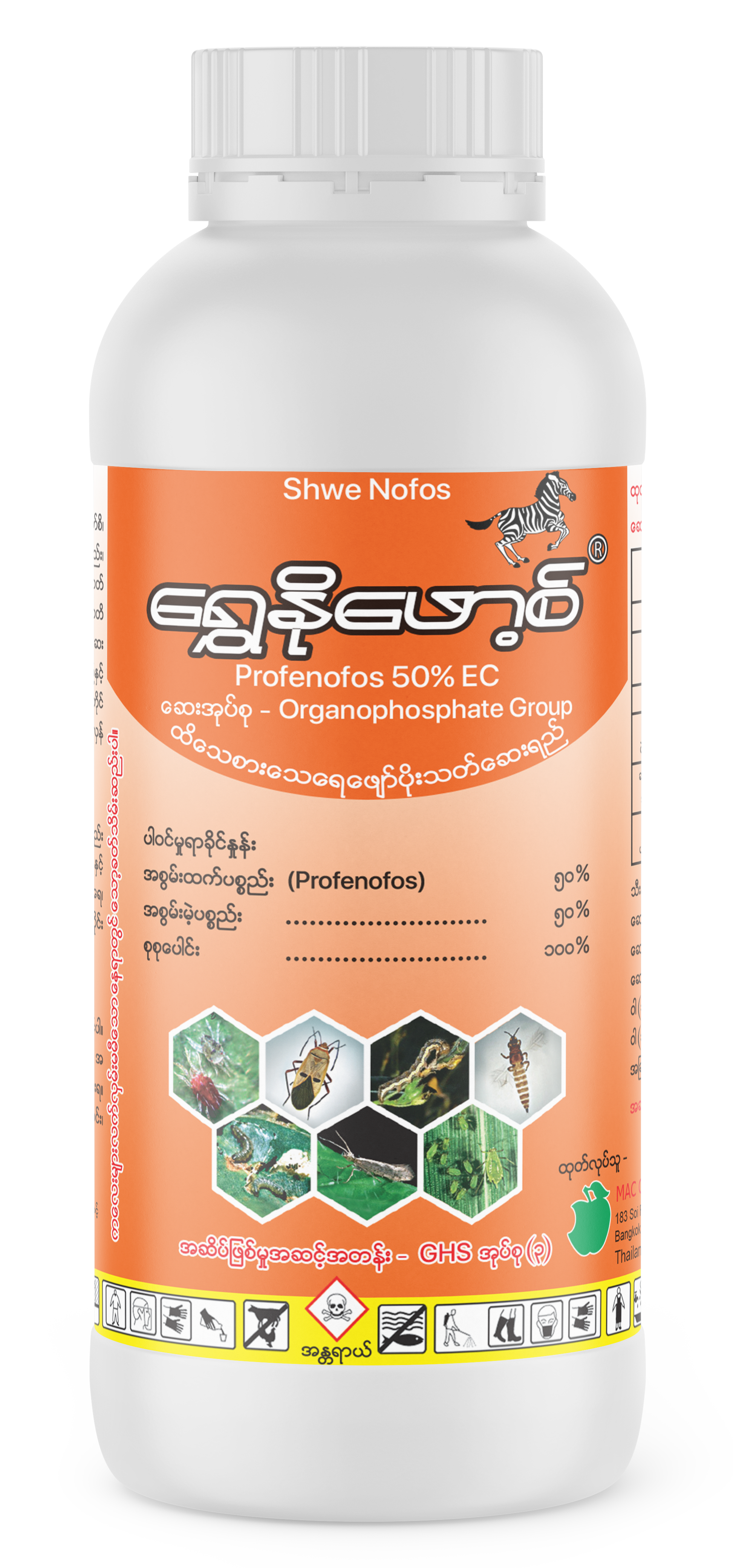 Shwe Nofos
