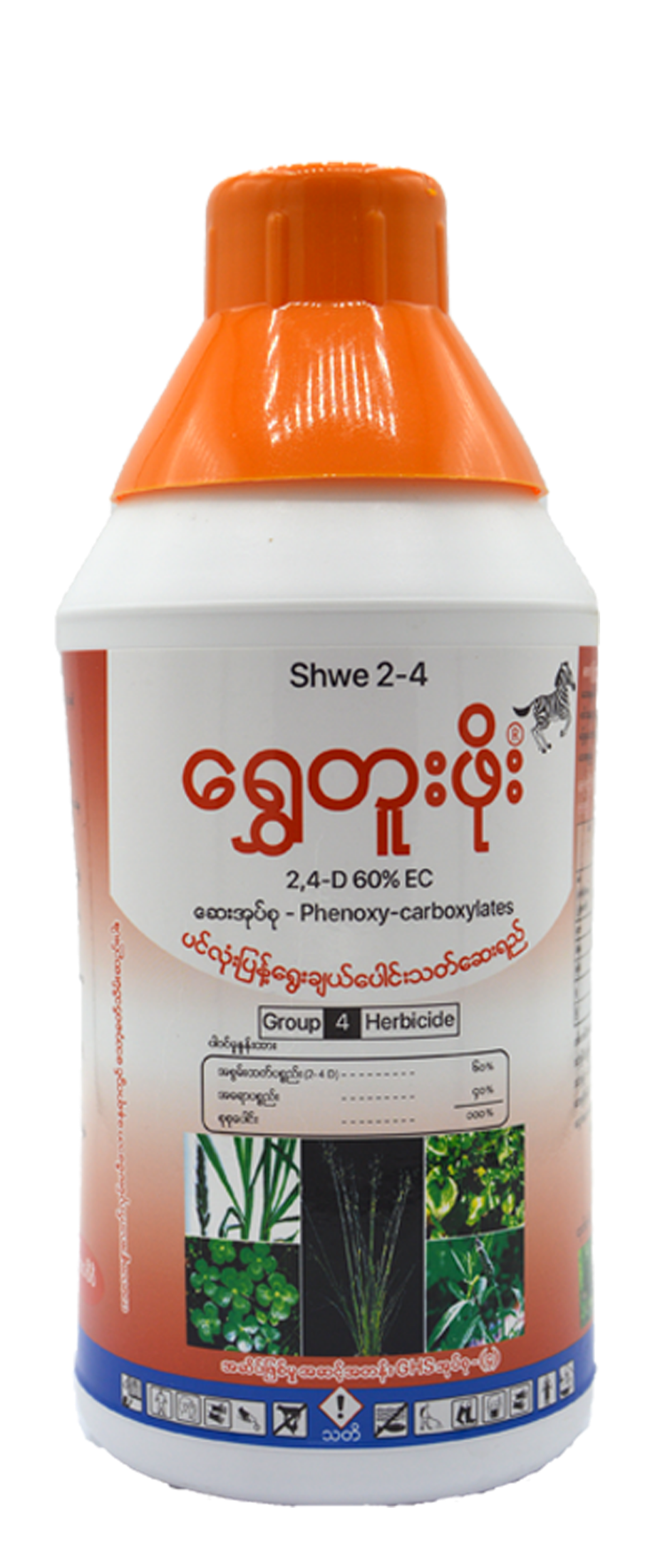 Shwe 2-4