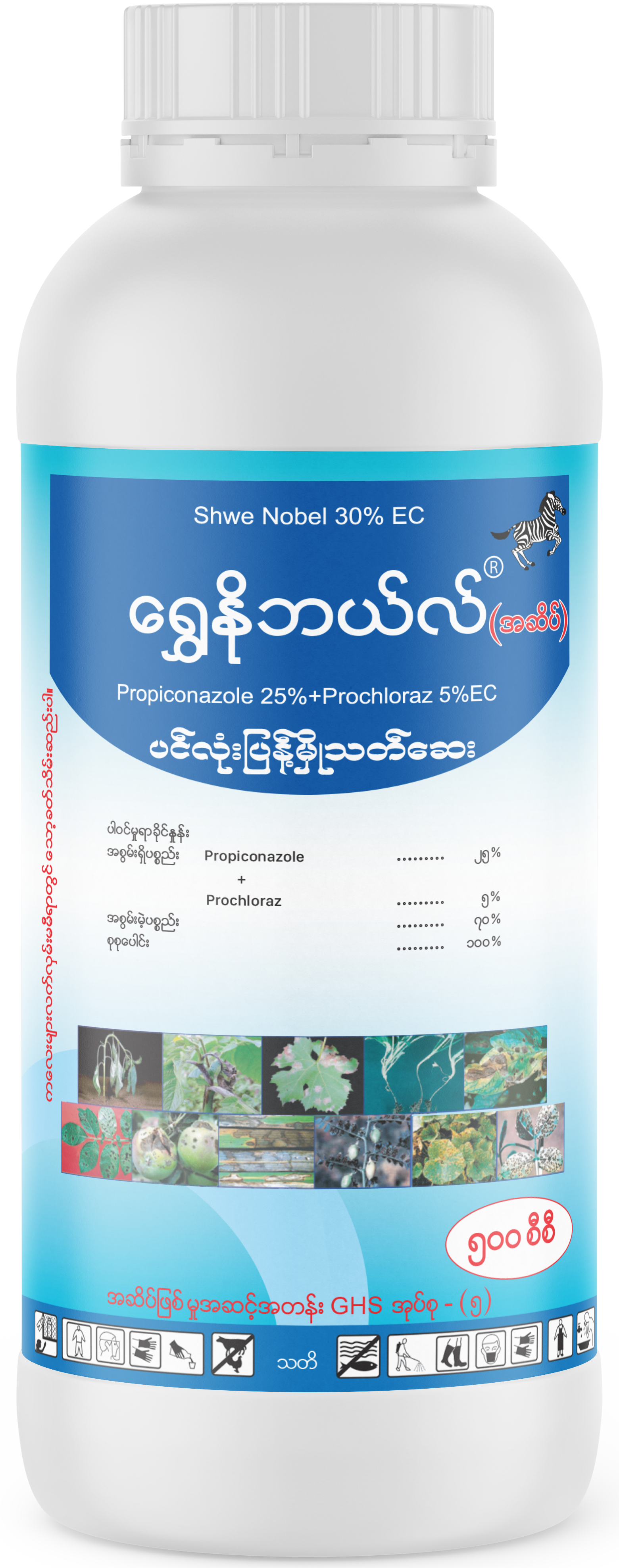 Shwe Nobel
