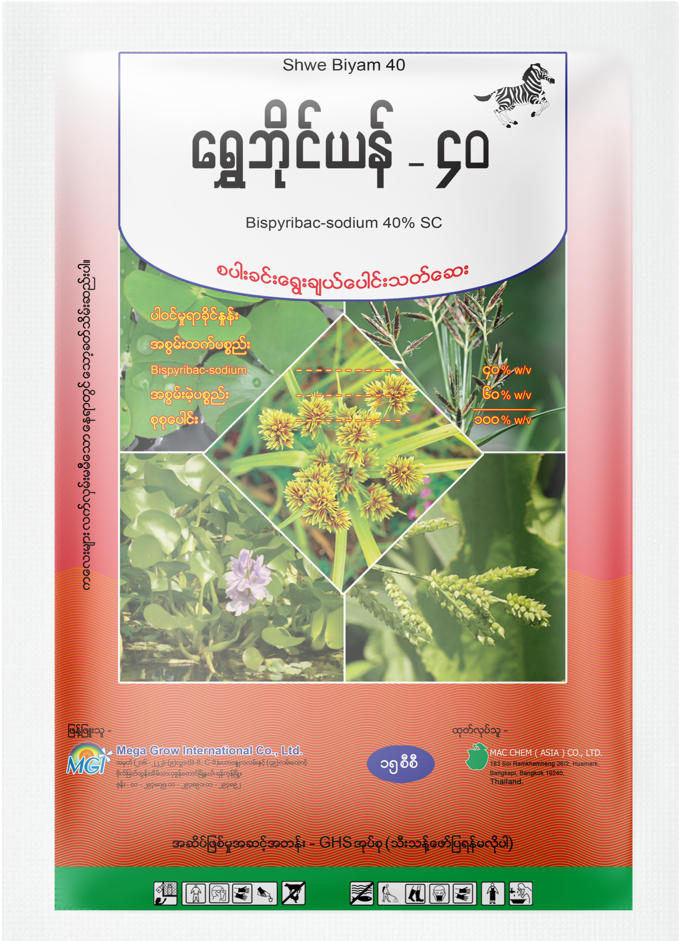 Shwe Biyam 40