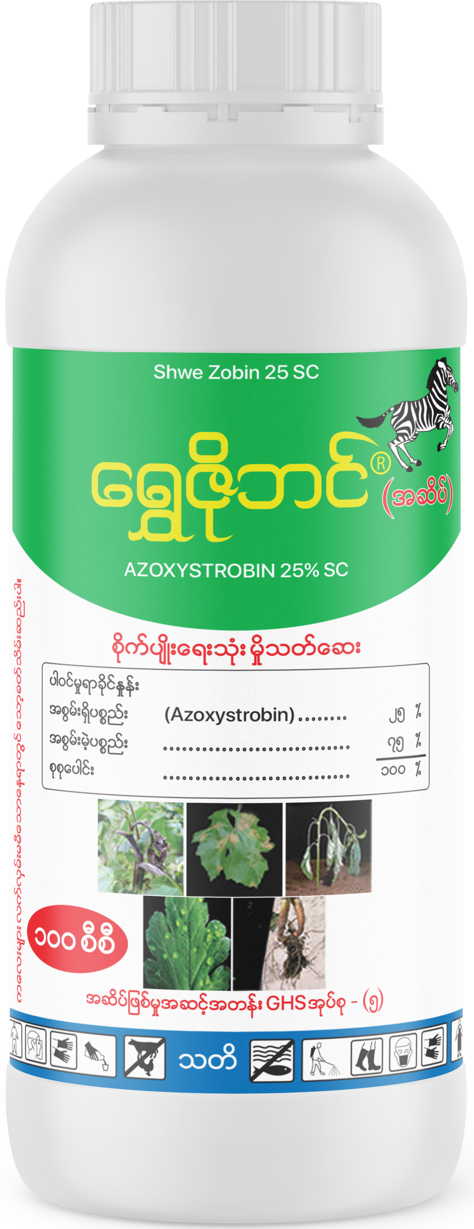 Shwe Zobin