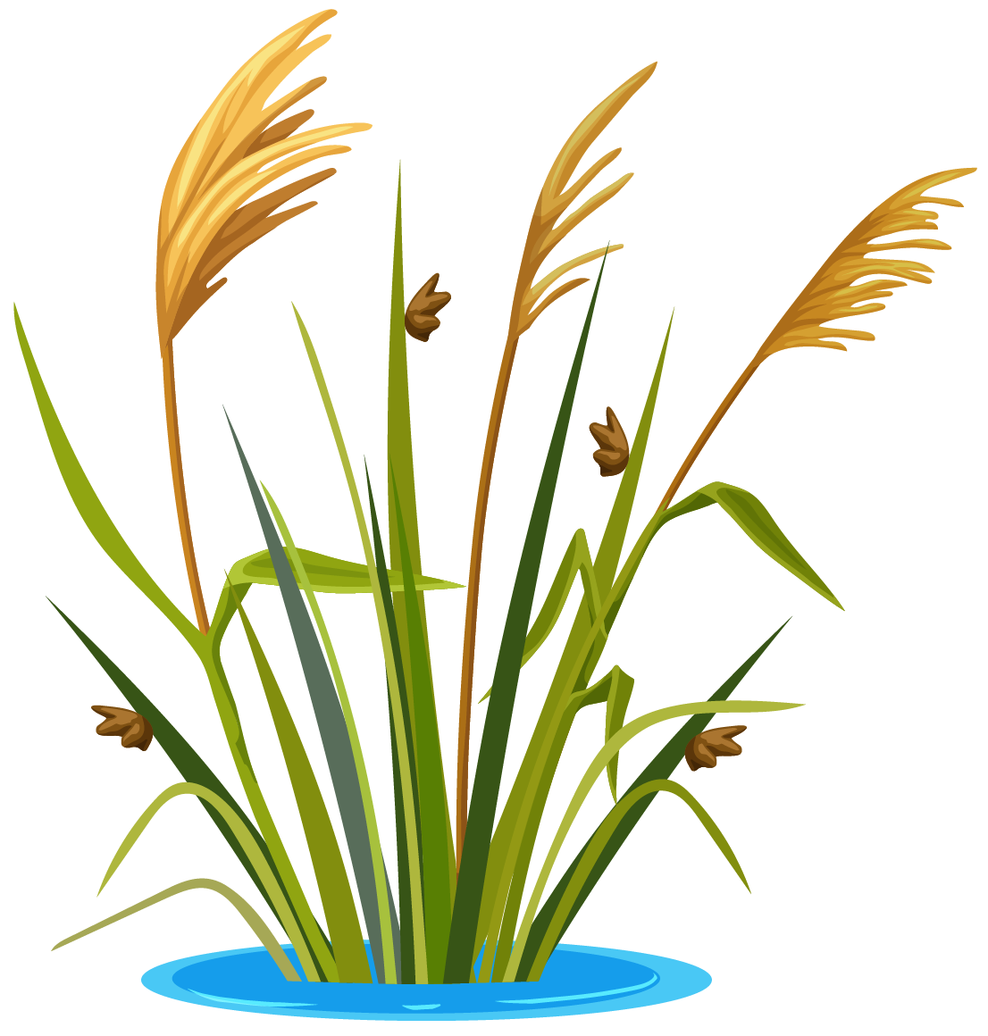 Herbicide
