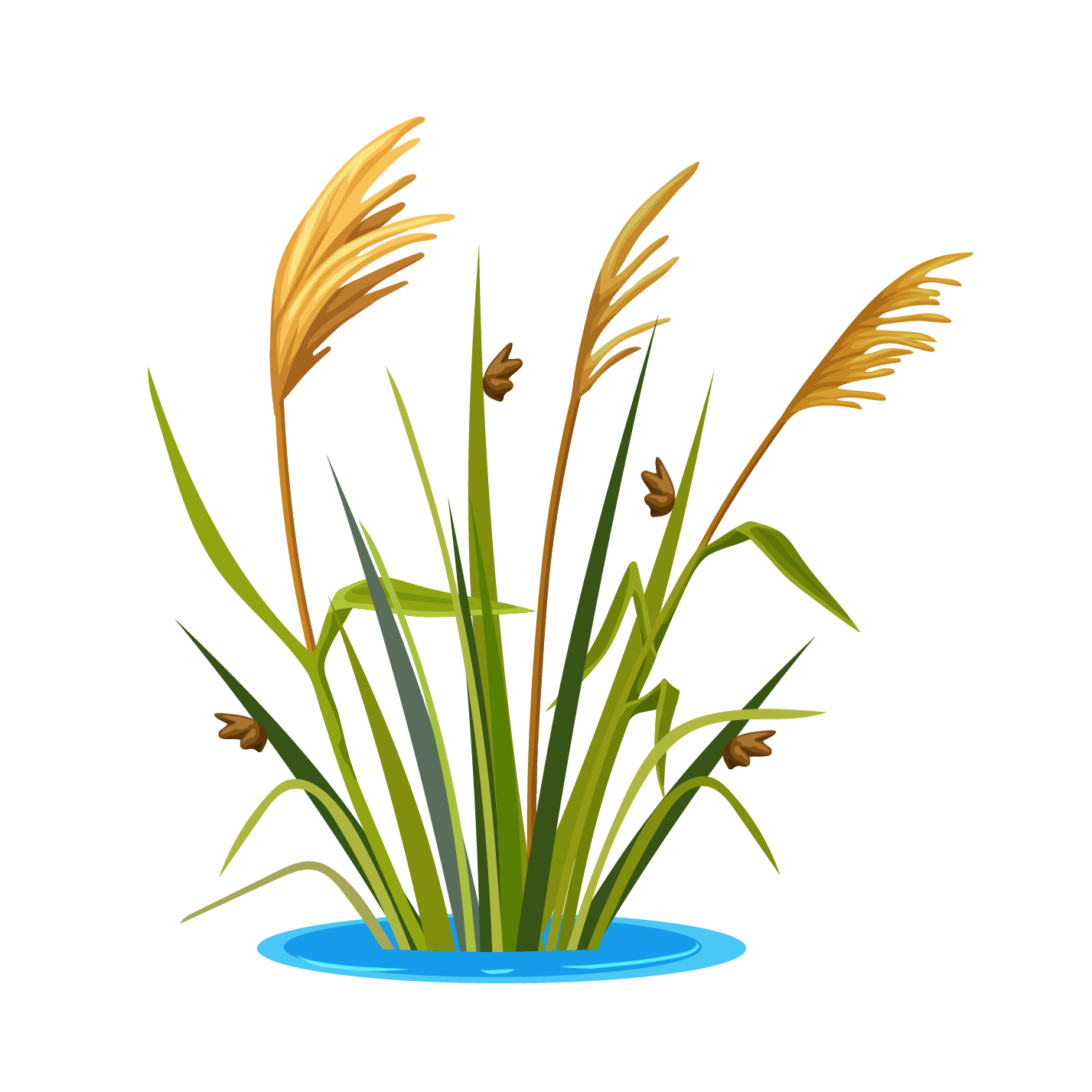 Herbicide