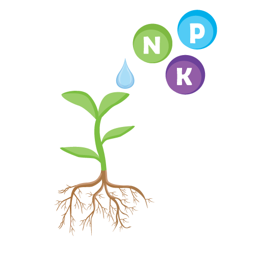 Foliar fertilizer