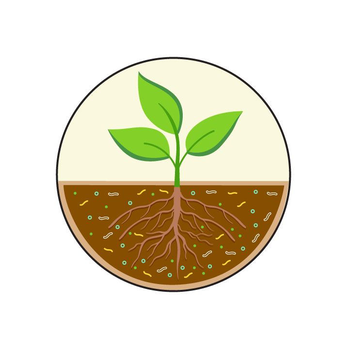 Bio-stimulant