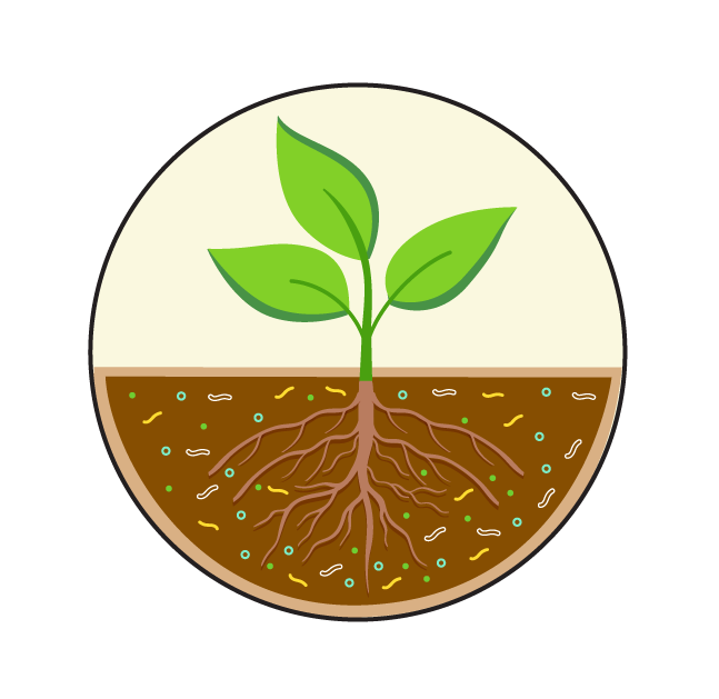 Bio-stimulant