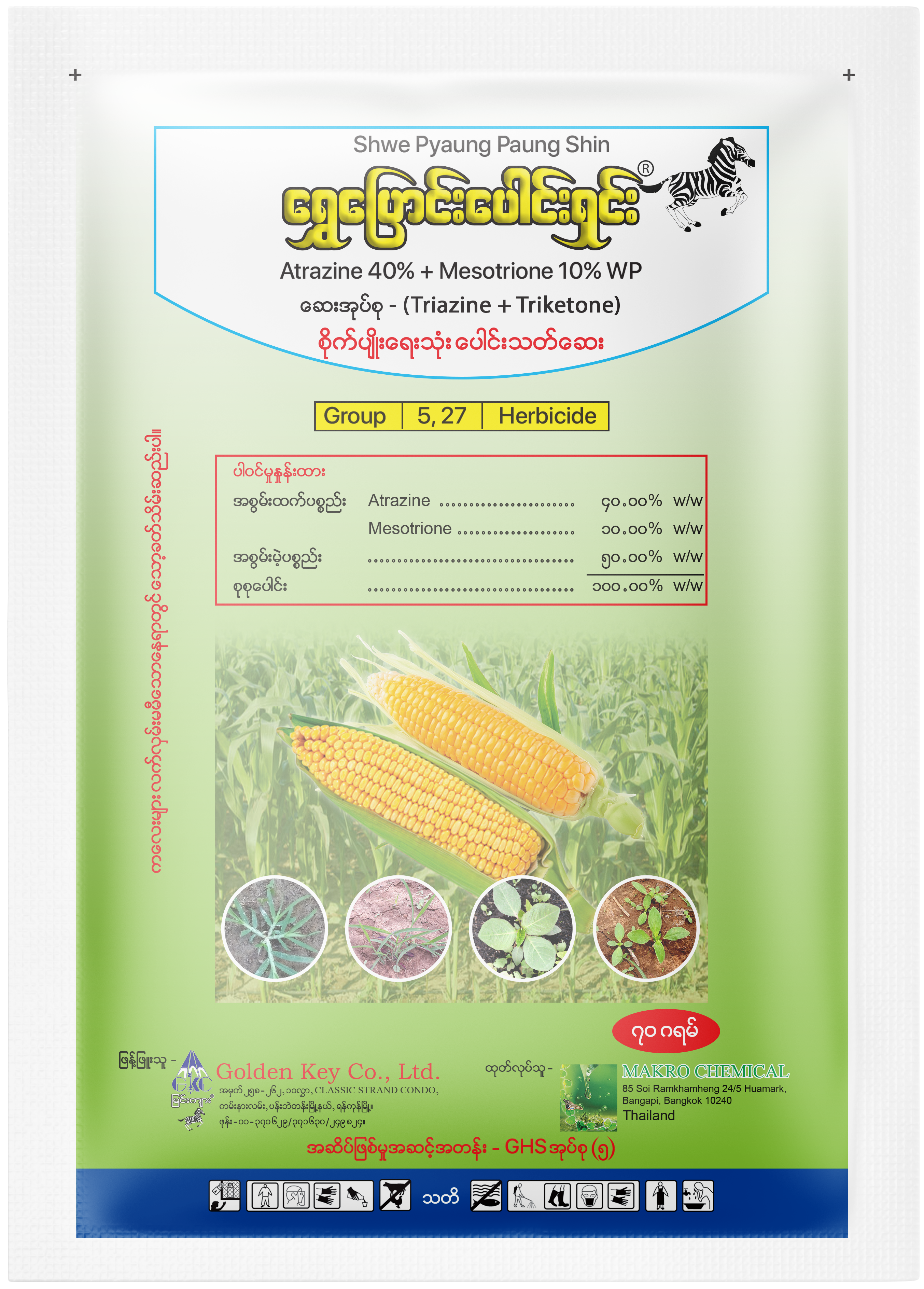 Shwe Pyaung Paung Shin