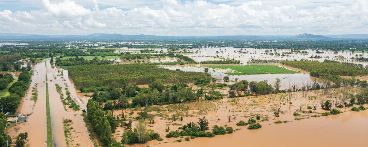 latest-news-articles